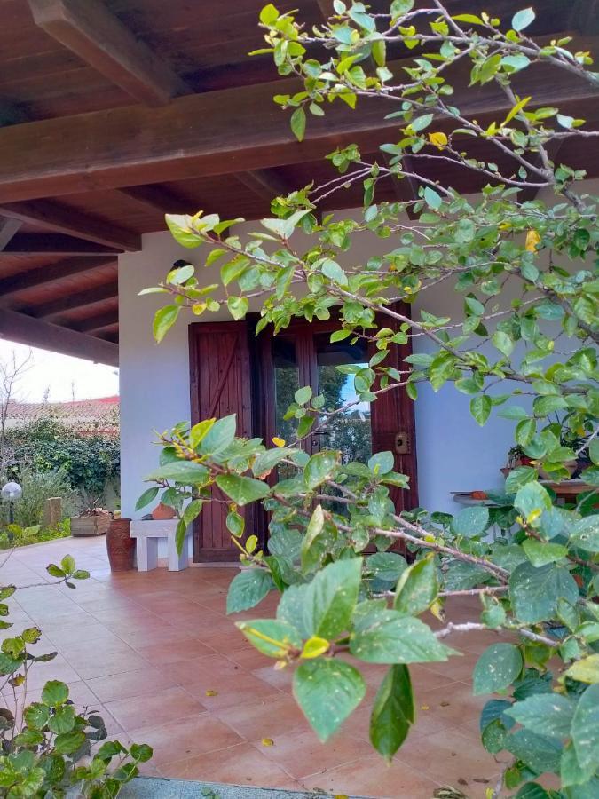 ブッジェッル Casa Armasゲストハウス エクステリア 写真